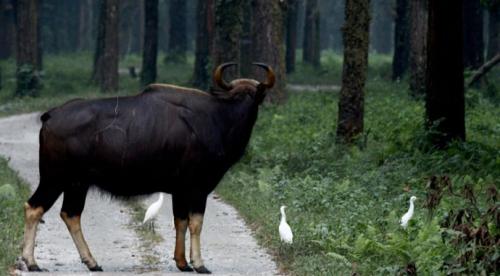 Tourist Places In Bhutan Teem Travel Bhutan